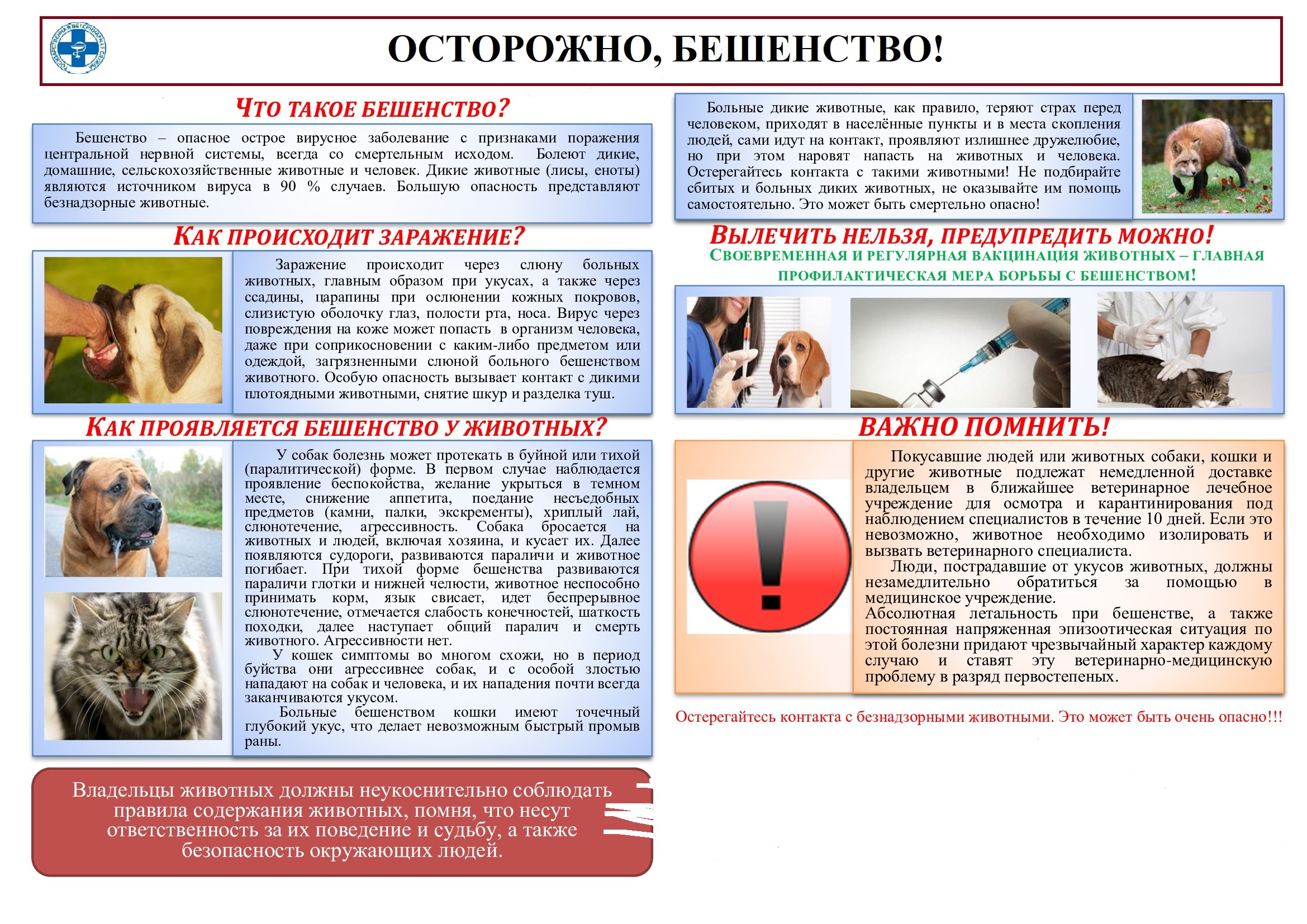 Безопасность.