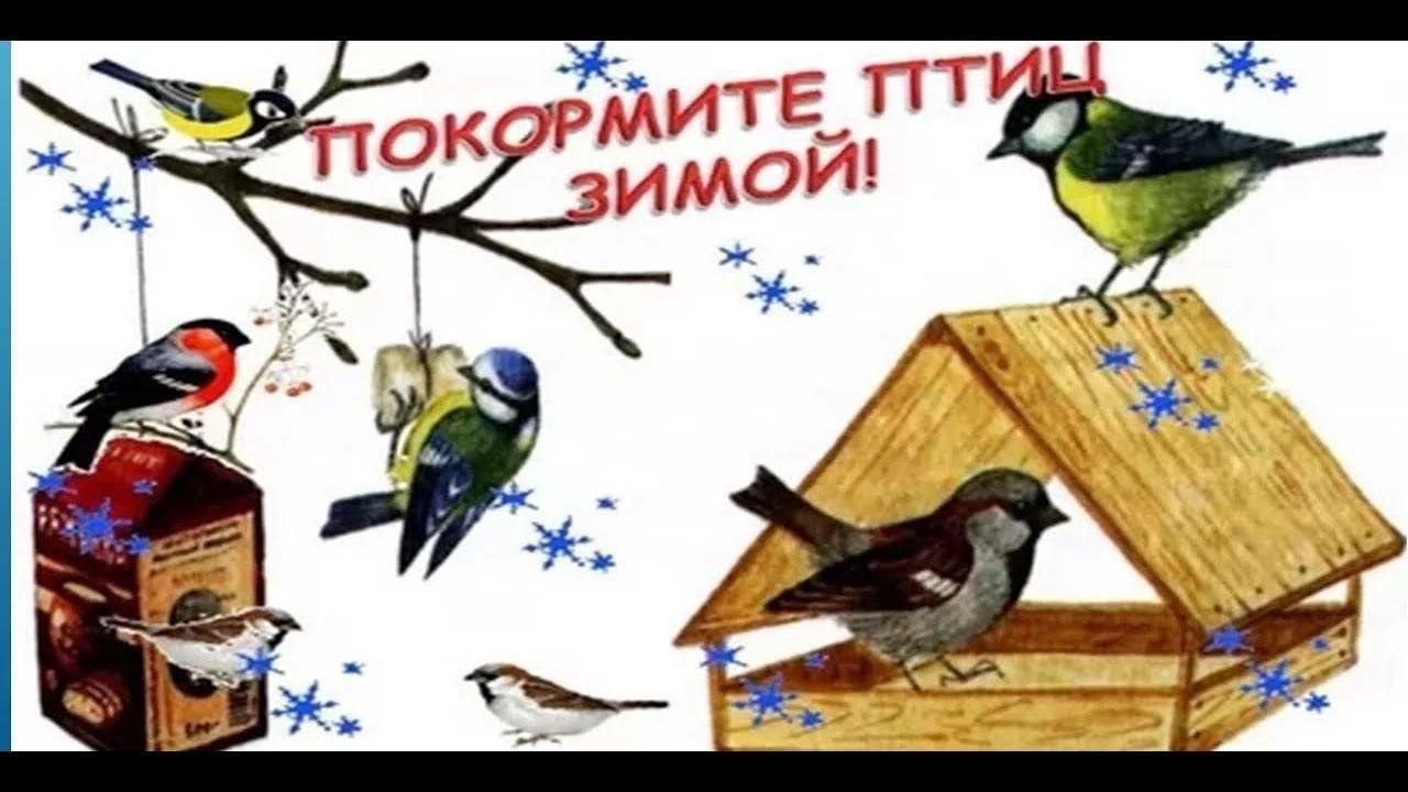 АКЦИЯ &amp;quot;Покормите птиц зимой!&amp;quot;.